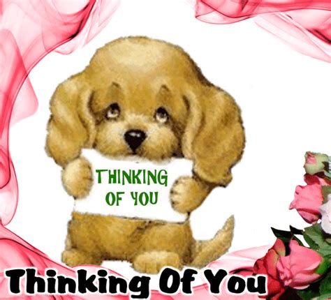 what is a face card|123 greetings thinking of you.